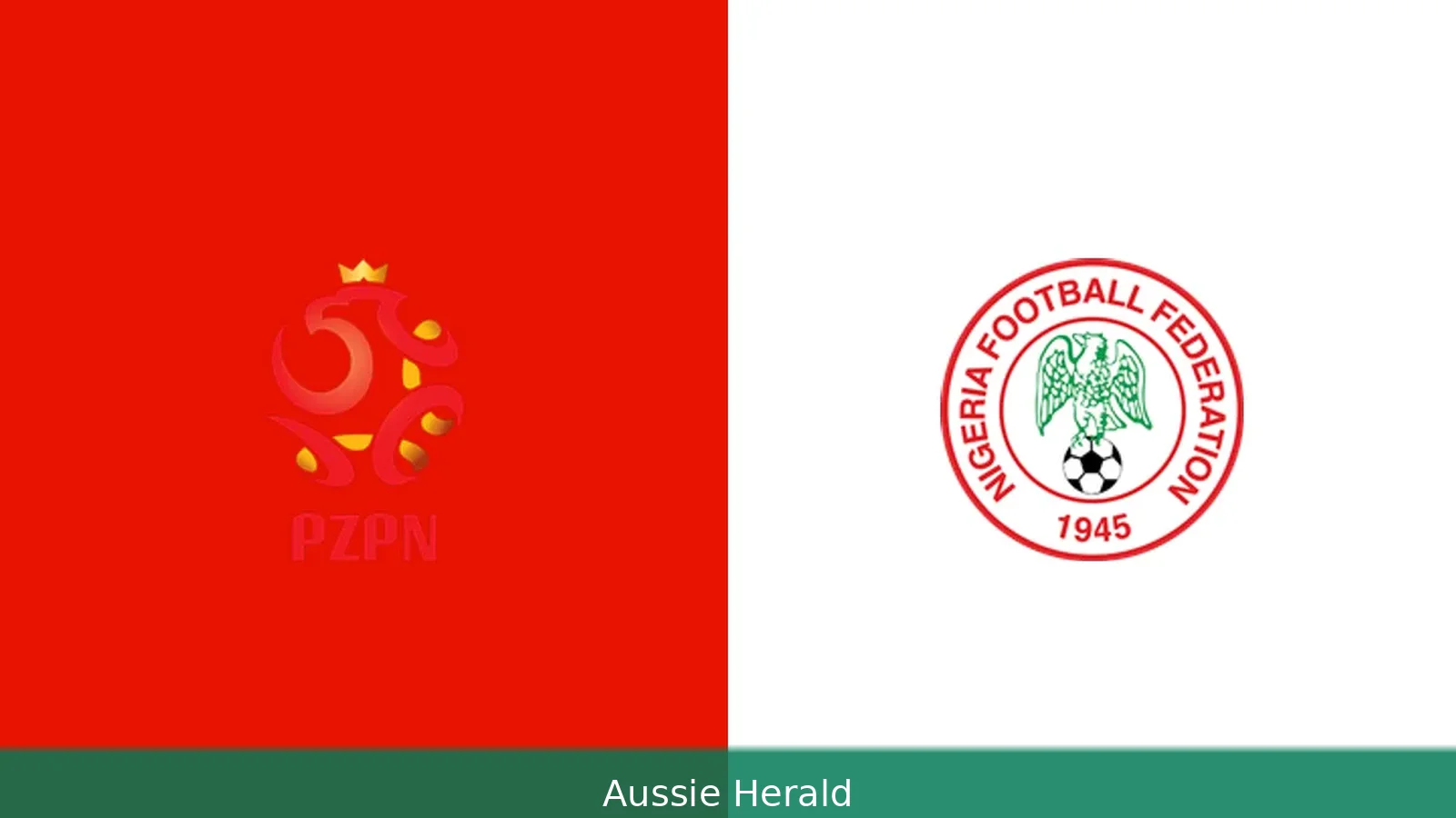 Poland 1-1 Nigeria: Potulski stoppage equaliser